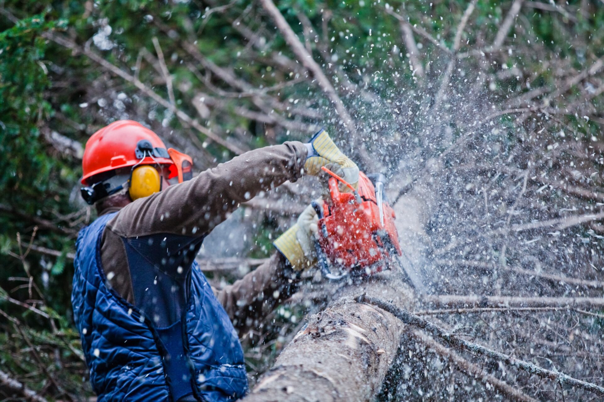 woman-operating-heavy-duty-leaf-blower_1153-7322